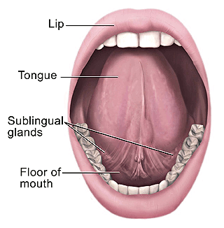 mouth and tongue