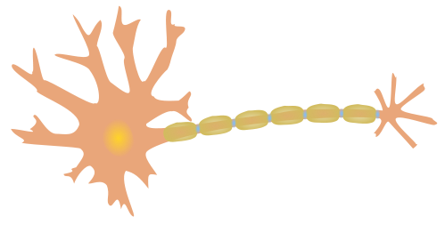 single neuron