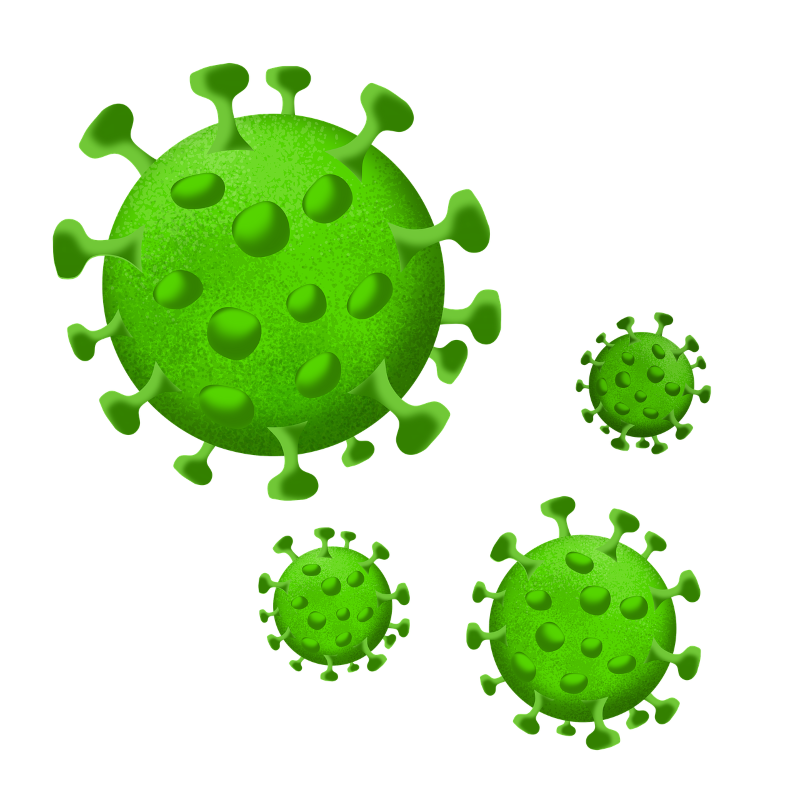 virus invasion