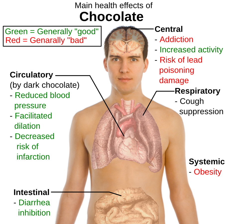 chocolate possible health effects