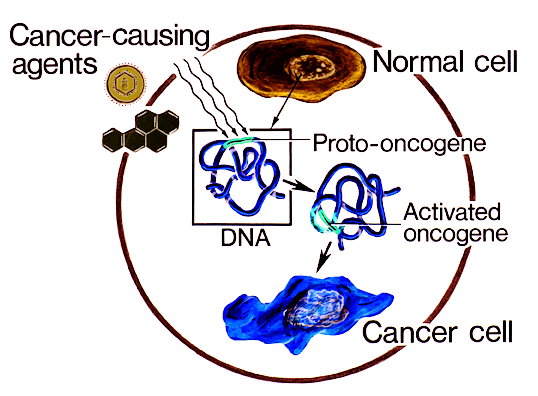 Oncogenes to cancer