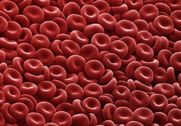 Blood Cell Pict