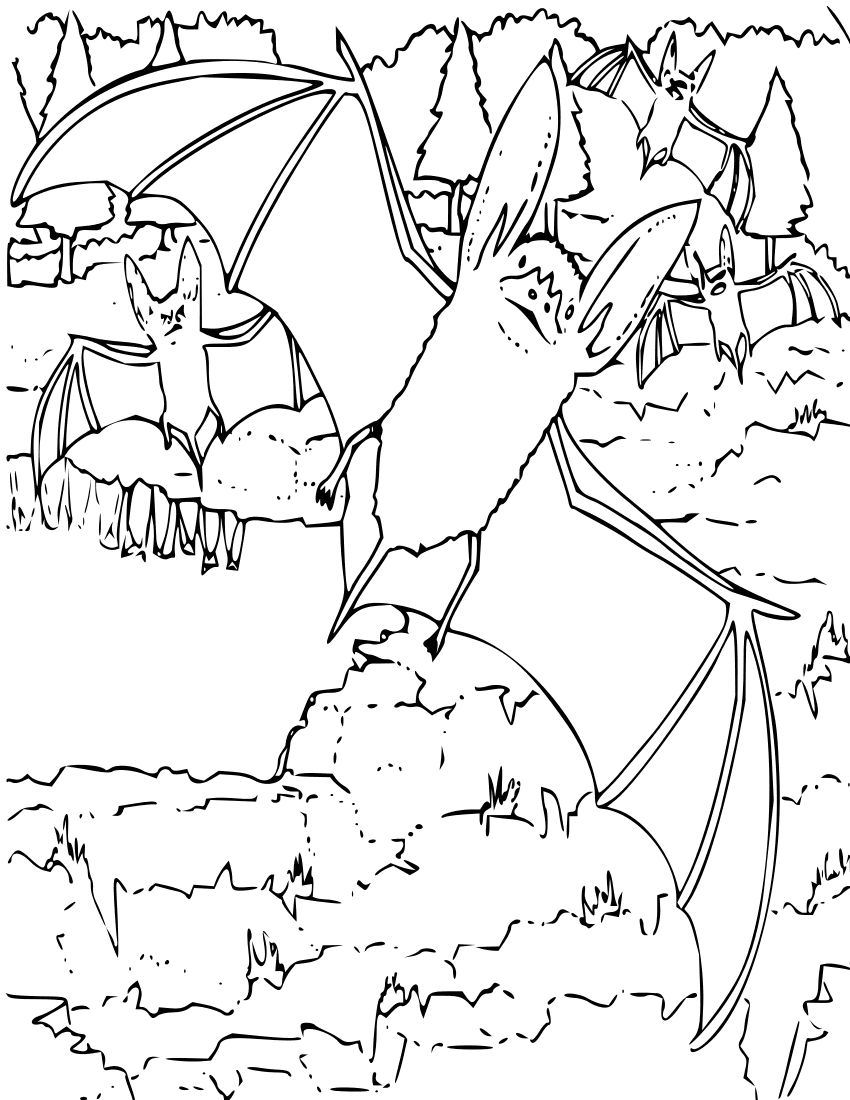 bats coloring page