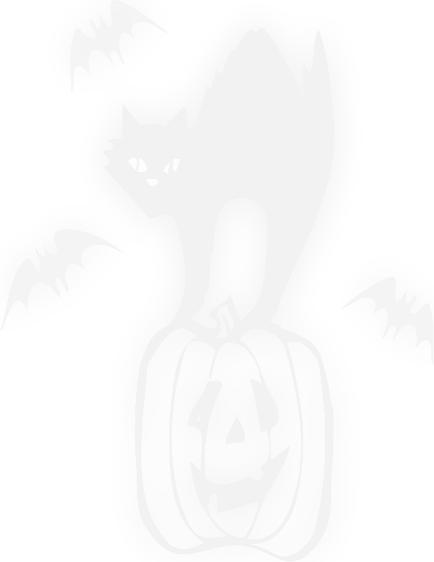 black cat on pumpkin page background