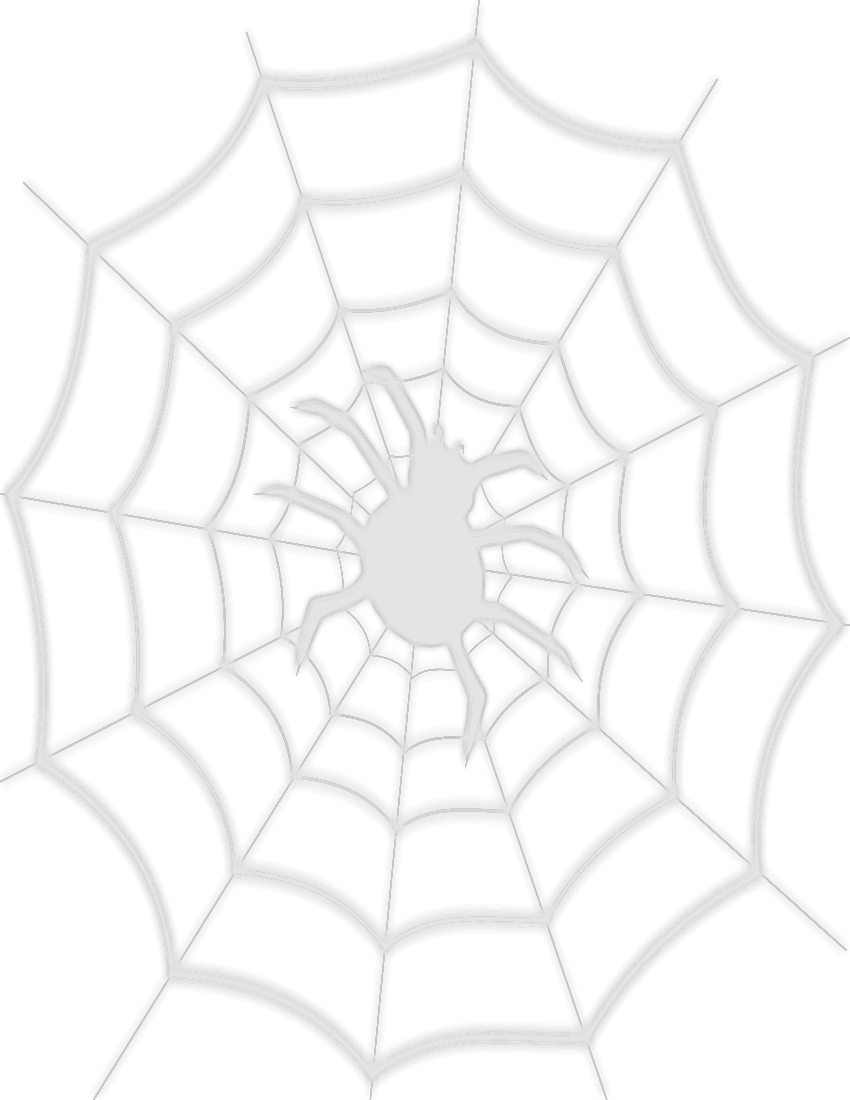 spider in web background