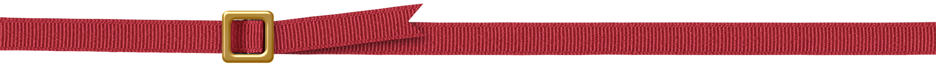 belt-line-separator-red