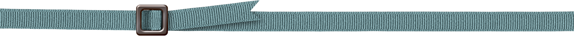 belt-line-separator-teal