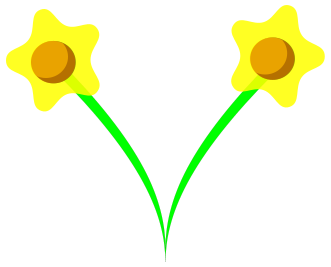 daffodils pair