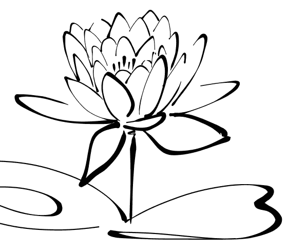 calligraphy Lotus