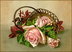 rose card