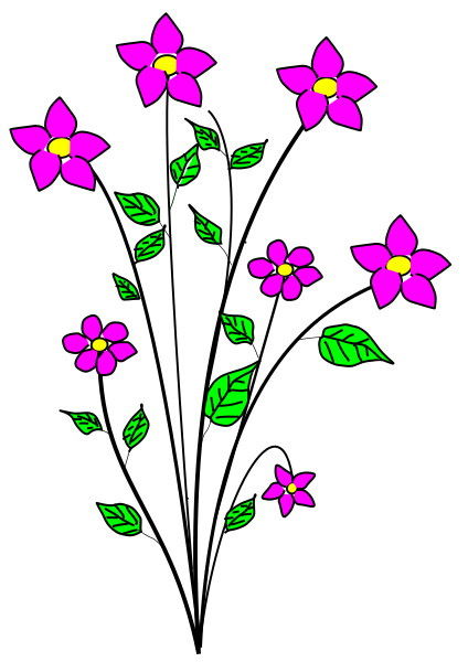 fushia flowering plant