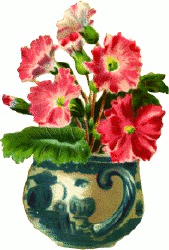 pink flowers mug