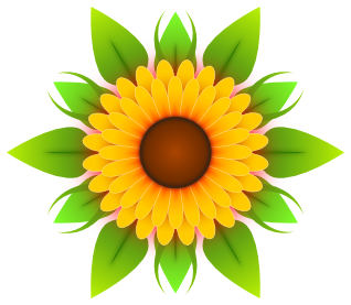 flower decorative sunflower