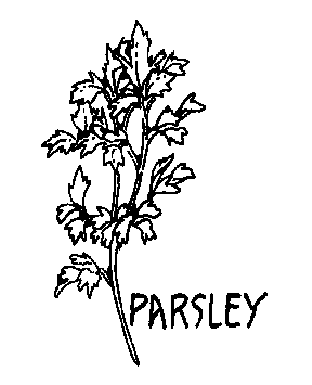 parsley BW