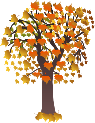 maple tree autumn