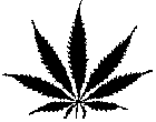 marijuana/