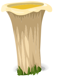 mushroom funnel 1