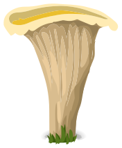 mushroom funnel 2