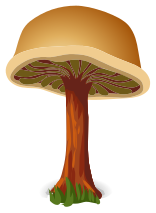 mushroom hoody 1