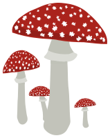 mushrooms 7