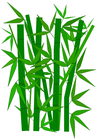 bamboo/