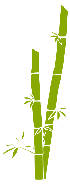 bamboo 2