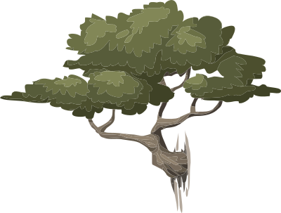 mountain bonsai 3
