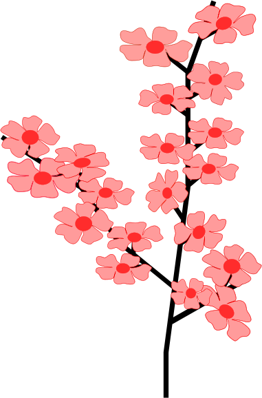 cherry blossom graphic