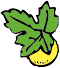 lemon w leaf