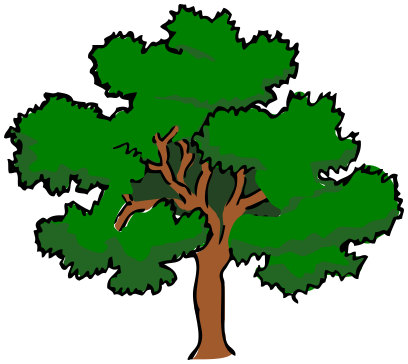 tree oak
