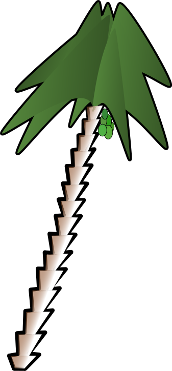 leaning palm tree