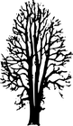 tree_silhouettes/