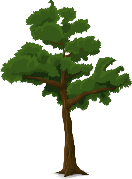 tree deciduous 3