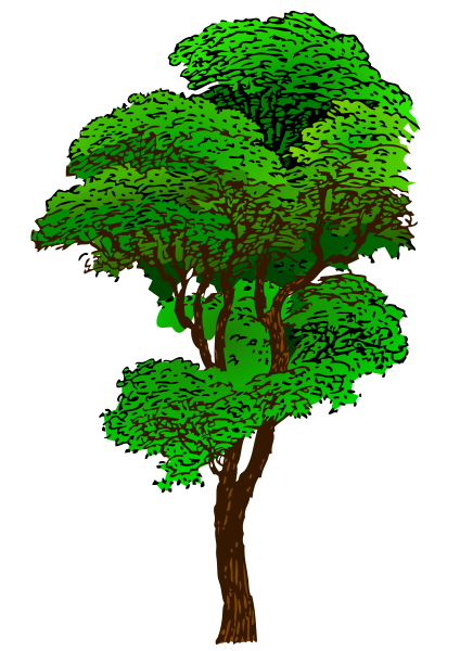 tree colorized