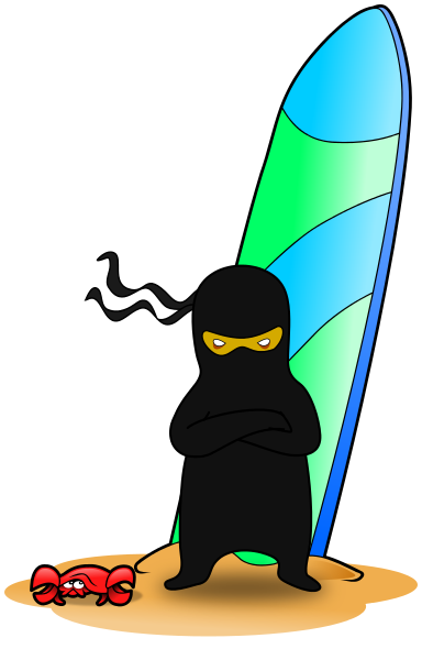 ninja surfer