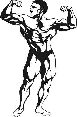 fitness muscle man