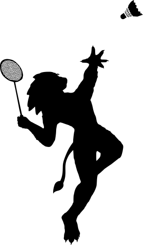 badminton aggressive