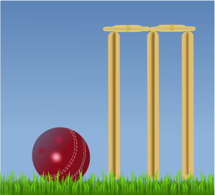 cricket illustration