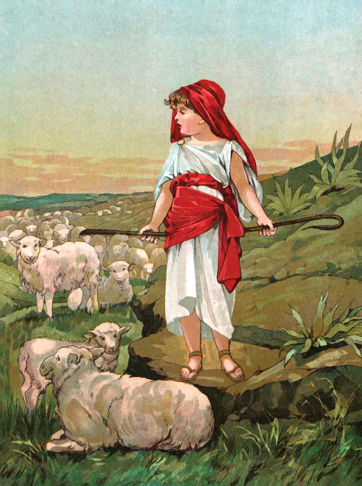 young shepherd boy