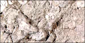 limestone small sample