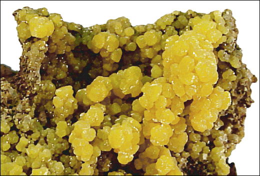 Mimetite  fiberous botryoidal clusters on Goethite