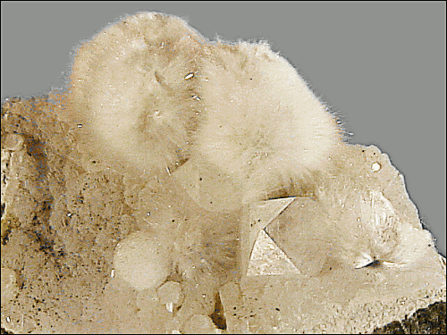 Okenite  radial cluster of fibers with Apophyllite