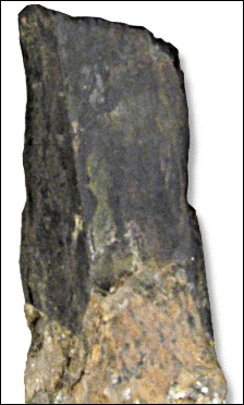 Riebeckite  black crystal on Quartz