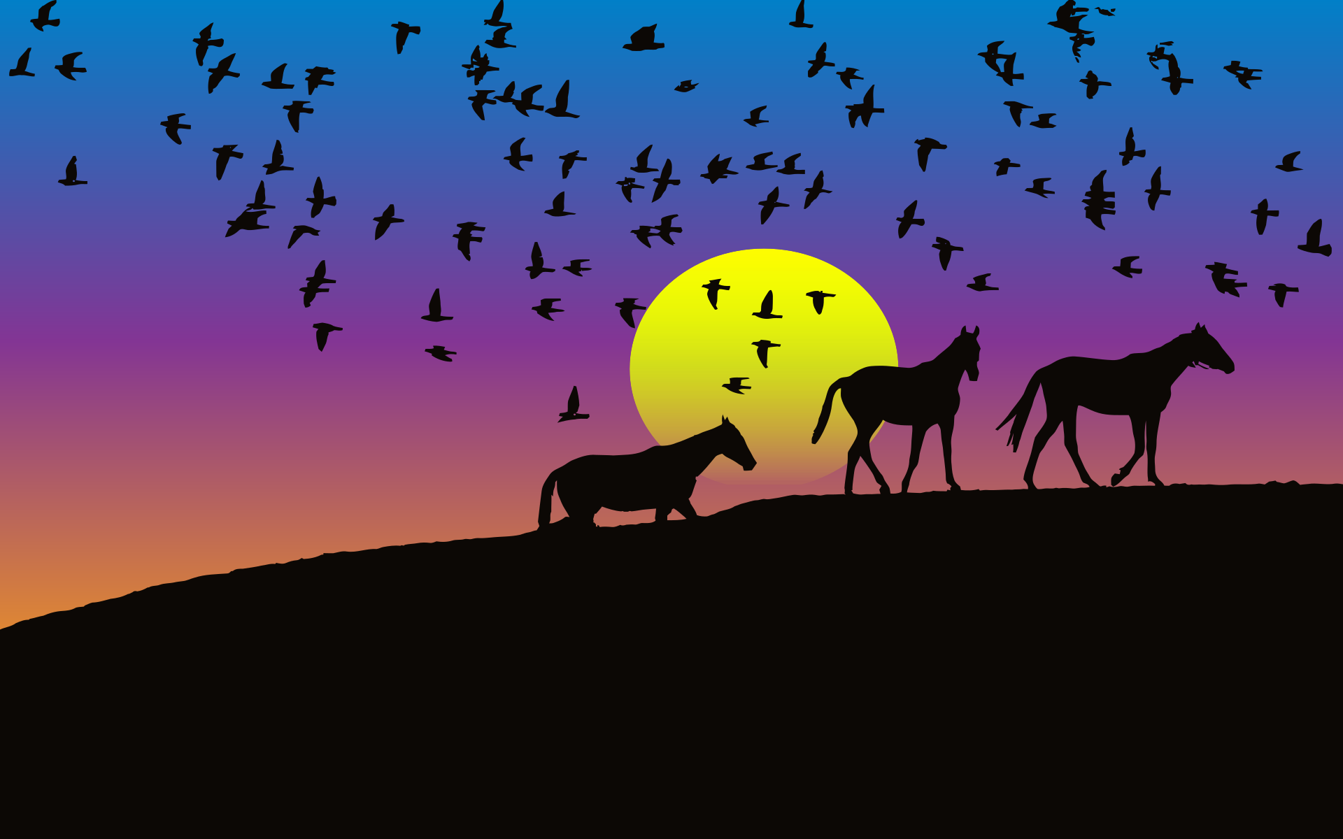 horses birds sunset