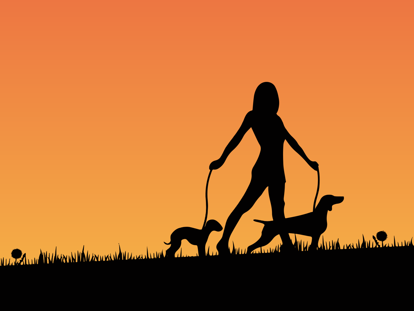 Woman Walking Dogs Sunset