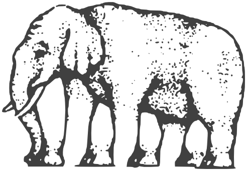 elephant legs illusion