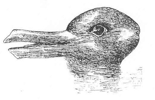 rabbit or duck illusion