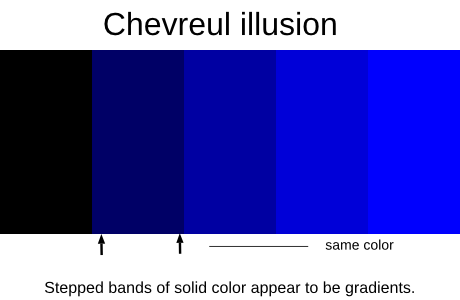 chevreul illusion blue label