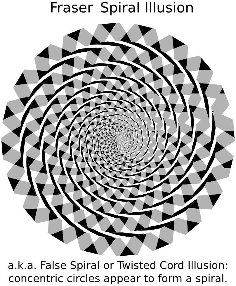 Fraser spiral illusion label