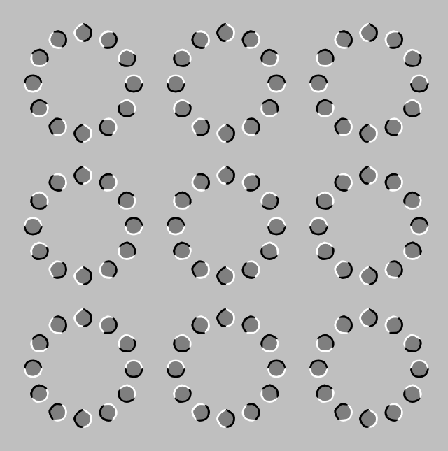 Fraser-Wilcox illusion
